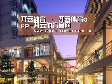 案例展示一(图1)