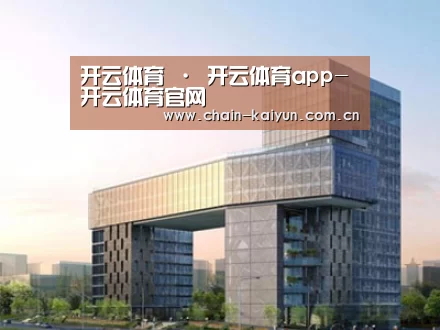 案例展示四