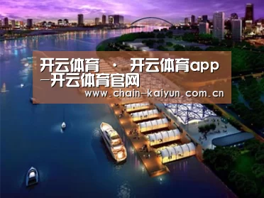 案例展示八