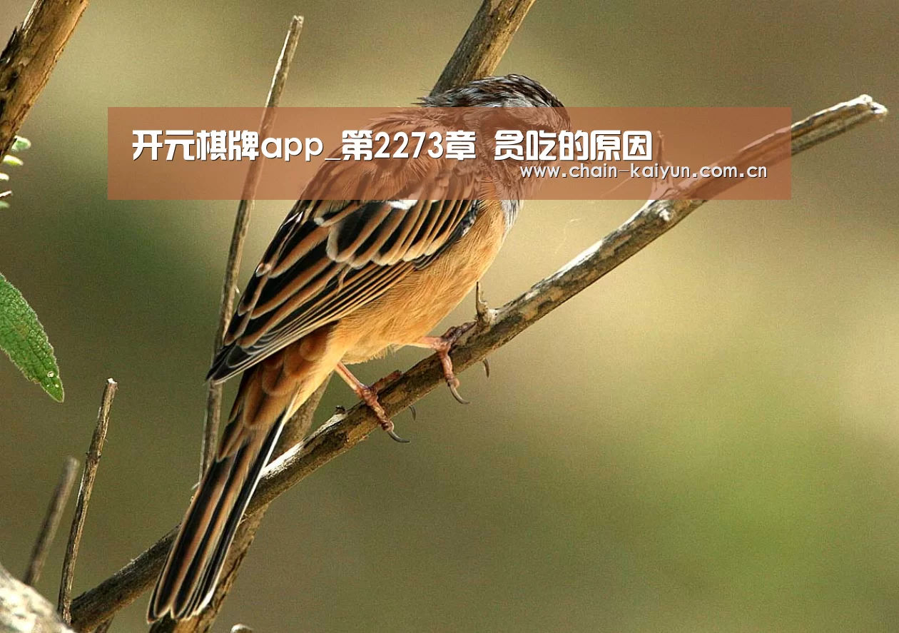 开元棋牌app_第2273章 贪吃的原因(图2) 开元棋牌app