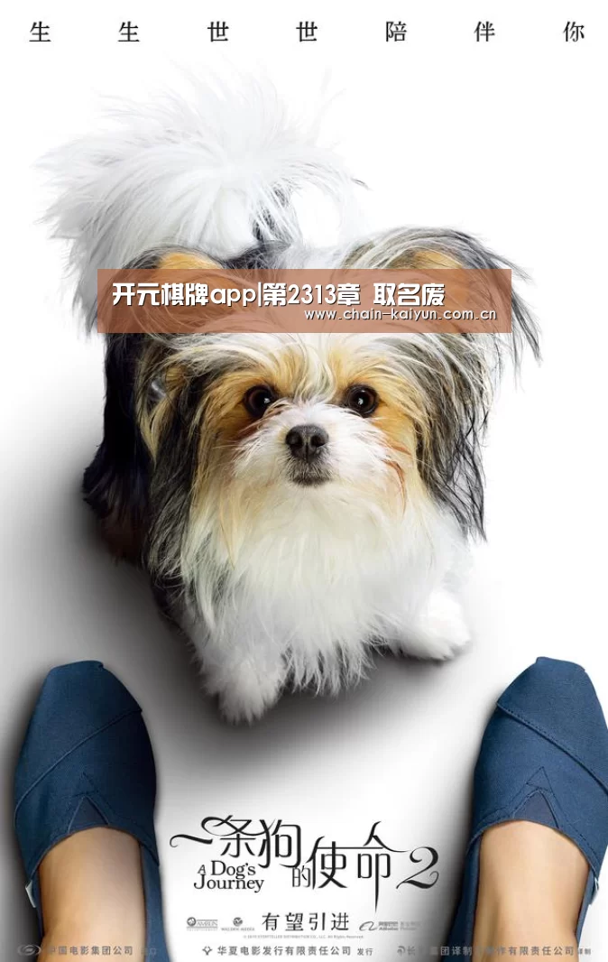 开元棋牌app