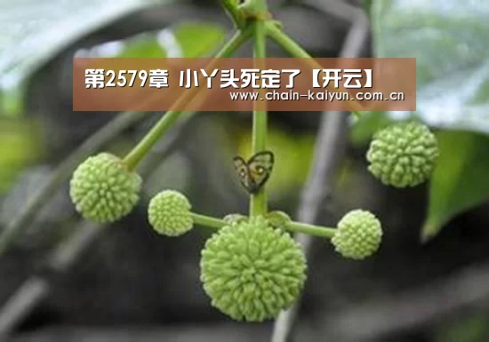 开元棋牌下载